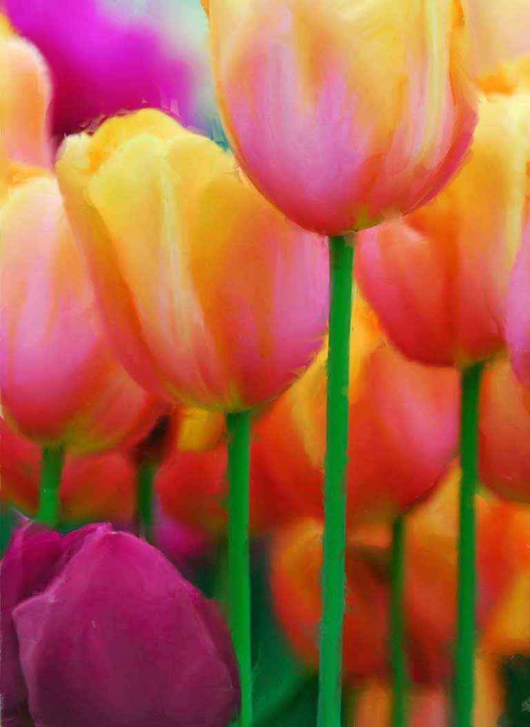 FLO.UprightTulips.sm Studio Napoli